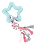 Little rascals bijt ster blauw / roze / wit