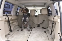 Kong autogordel hond cargo swivel