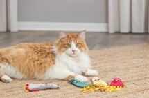 Trixie muis pluche met catnip assorti