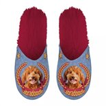 Pantoffel labradoodle lila / rood