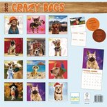 Kalender crazy dogs 2025