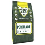 Yourdog porcelaine pup