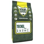 Yourdog teckel senior