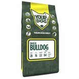 Yourdog engelse bulldog pup