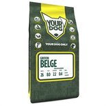 Yourdog griffon belge volwassen