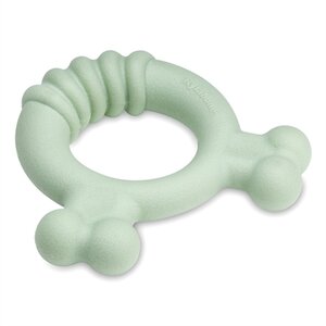 Nylabone puppy tactile ring kipsmaak