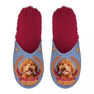 Pantoffel labradoodle lila / rood