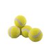 Rosewood jolly doggy tennisbal mini_