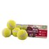 Rosewood jolly doggy tennisbal mini_