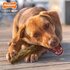 Nylabone extreme chew braided bull stick rundsmaak_