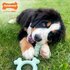 Nylabone puppy tactile ring kipsmaak_