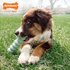 Nylabone puppy tactile stick pindakaassmaak_