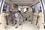 Kong autogordel hond cargo swivel_