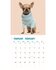 Kalender chihuahua studio 2025_