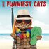 Kalender funniest cats 2025_