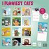 Kalender funniest cats 2025_