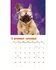 Kalender crazy dogs 2025_