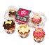 The barking bakery mini iced woofins vanilla en carob trio assorti_